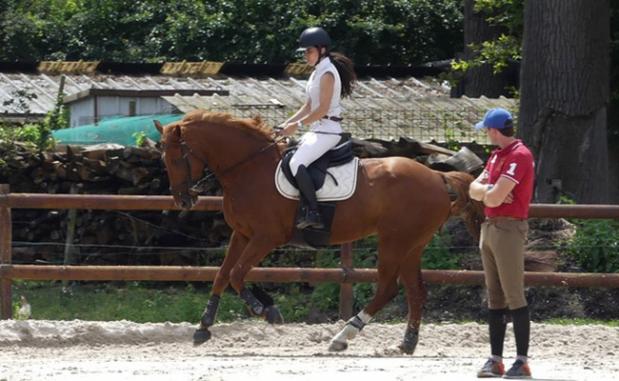 cours d'équitation