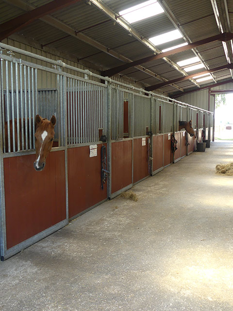 Pension chevaux